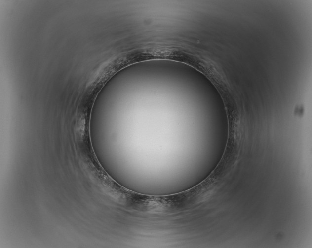 X0000113250697200909241612