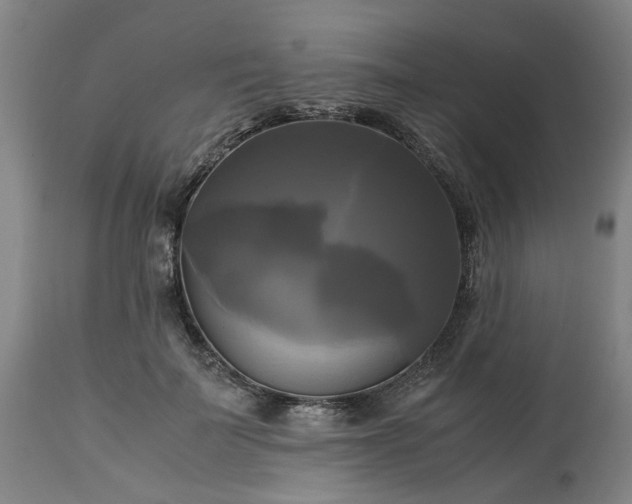 X0000113250699200909241612