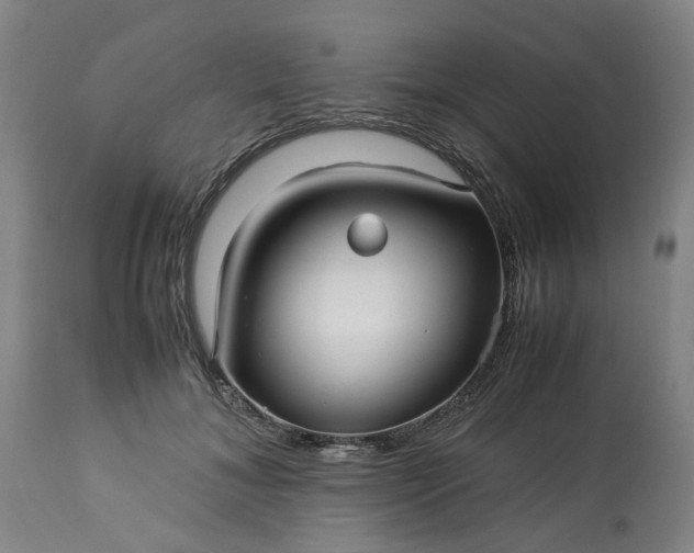 X0000113250700200909241612