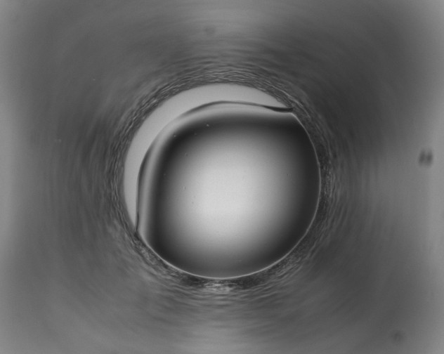 X0000113250701200909241612