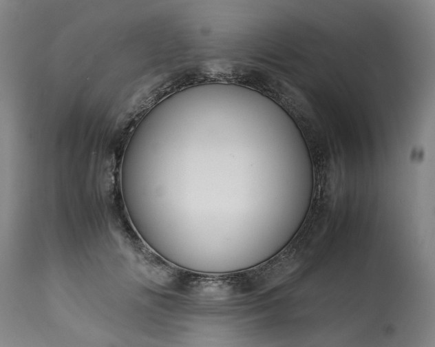 X0000113250702200909241612