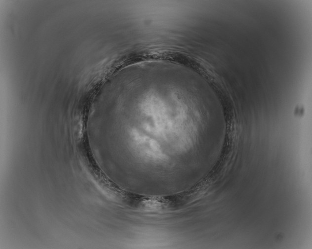 X0000113250703200909241612