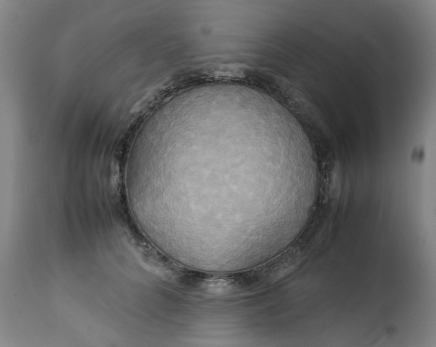 X0000113250704200909241612