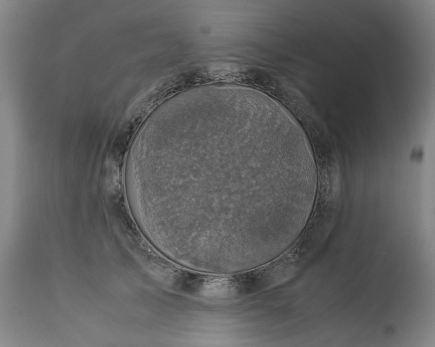 X0000113250705200909241611