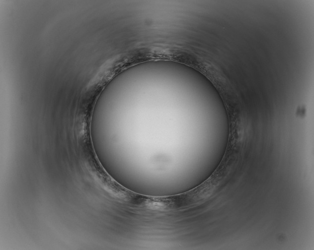 X0000113250706200909241611