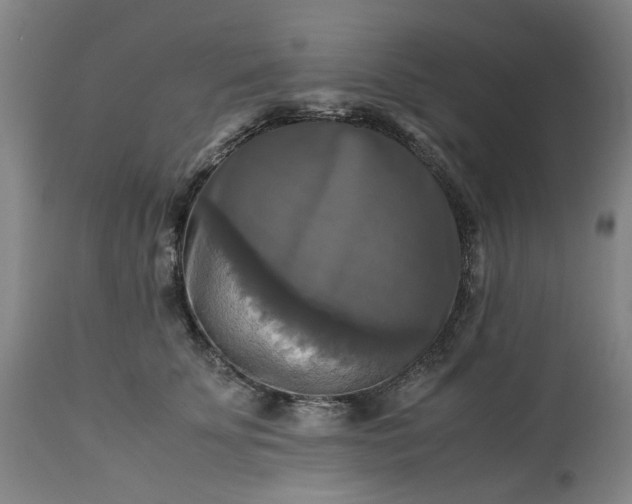 X0000113250707200909241611