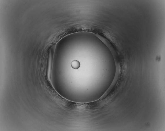 X0000113250709200909241611