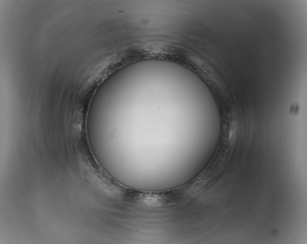 X0000113250710200909241611