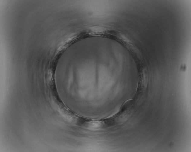 X0000113250711200909241611