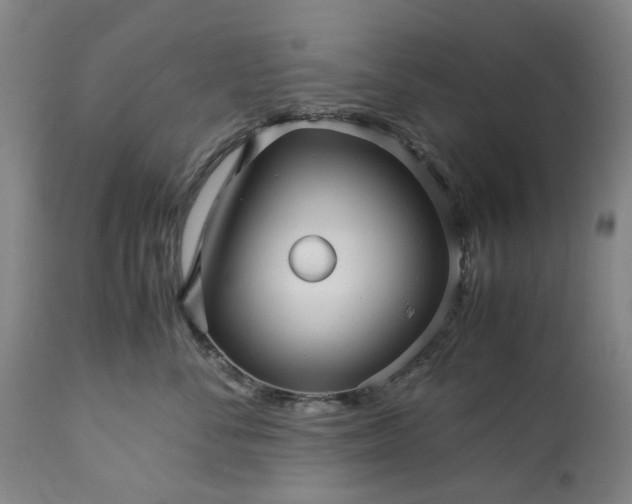 X0000113250716200909241611