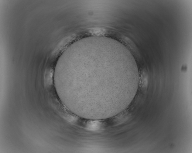 X0000113250717200909241611