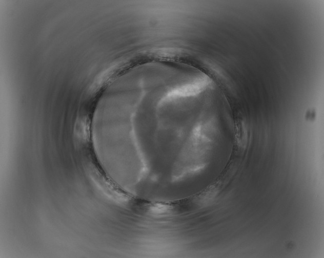 X0000113250718200909241611