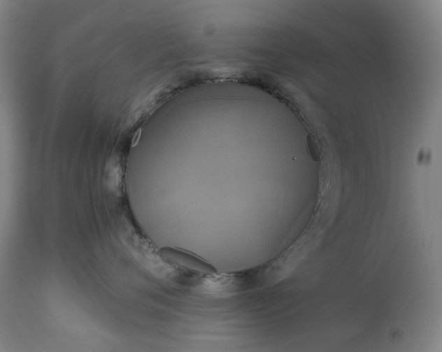 X0000113250720200909241611