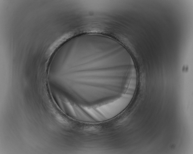 X0000113250721200909241611