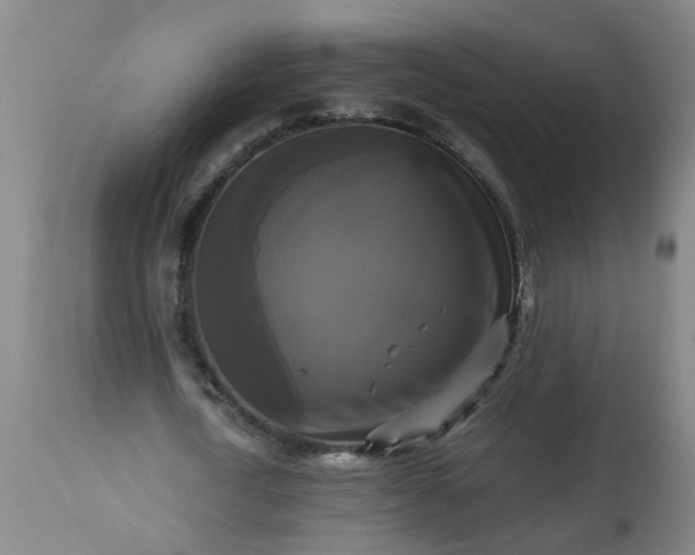 X0000113250722200909241611