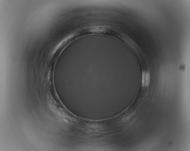 X0000113250723200909241611