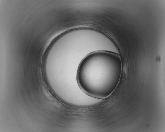 X0000113250724200909241611