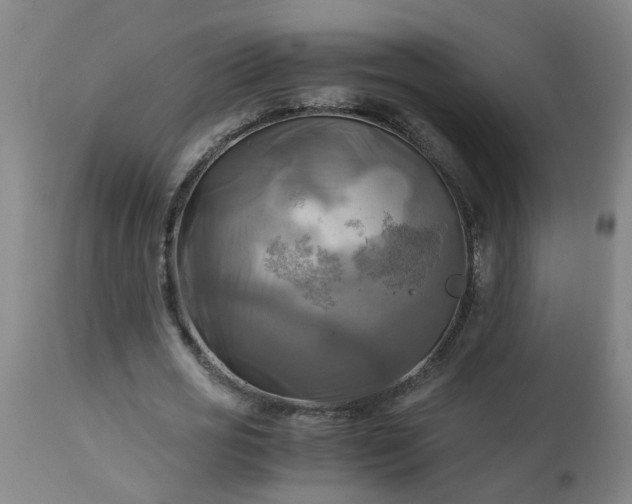 X0000113250725200909241611