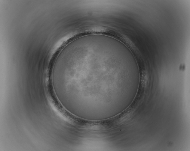 X0000113250726200909241611