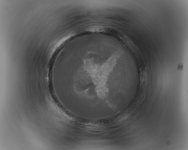 X0000113250727200909241611