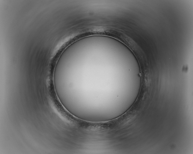 X0000113250728200909241611