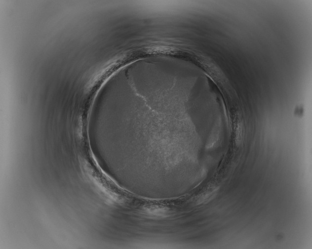 X0000113250729200909241611