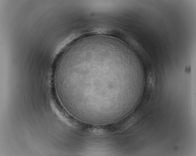 X0000113250730200909241611