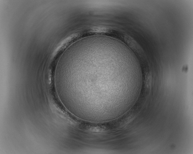 X0000113250731200909241611