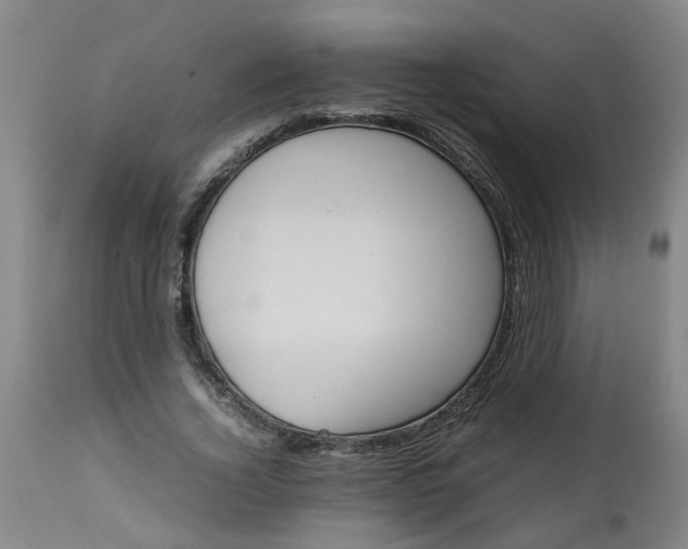 X0000113250732200909241611