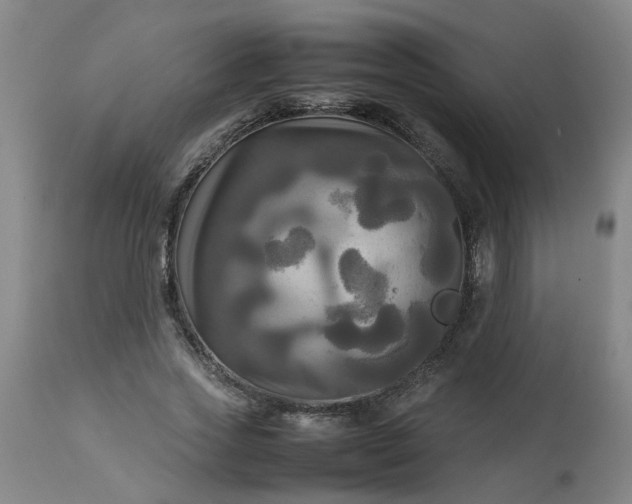 X0000113250733200909241611