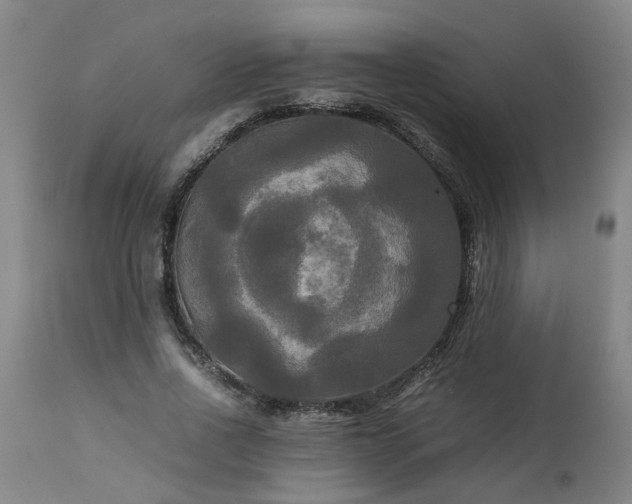 X0000113250734200909241611