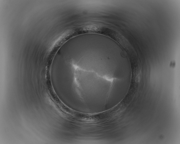 X0000113250735200909241611