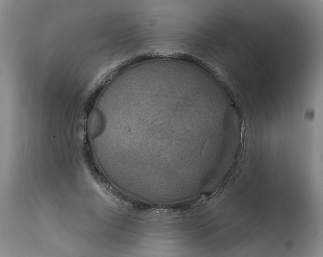 X0000113250736200909241611