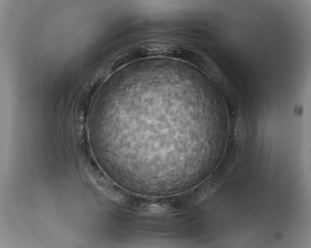 X0000113250737200909241611