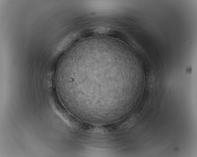 X0000113250738200909241611