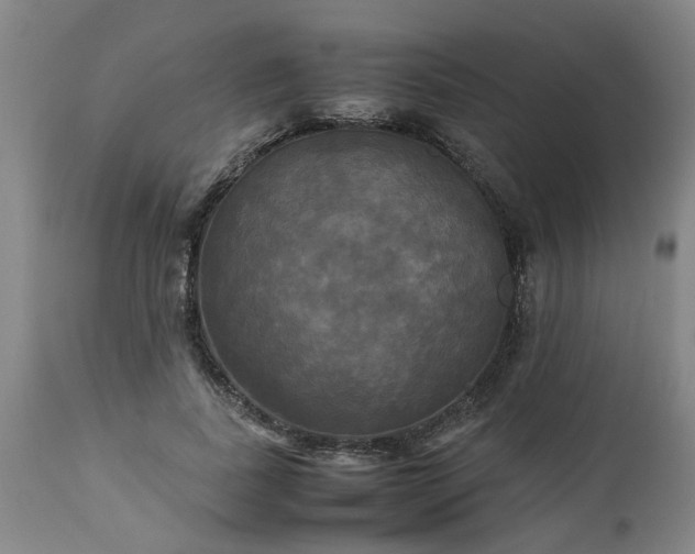 X0000113250739200909241611