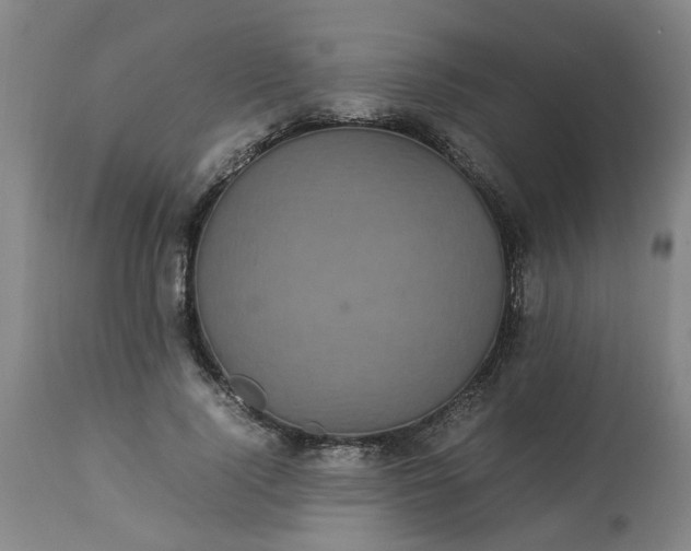 X0000113250740200909241611