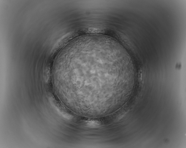 X0000113250741200909241611