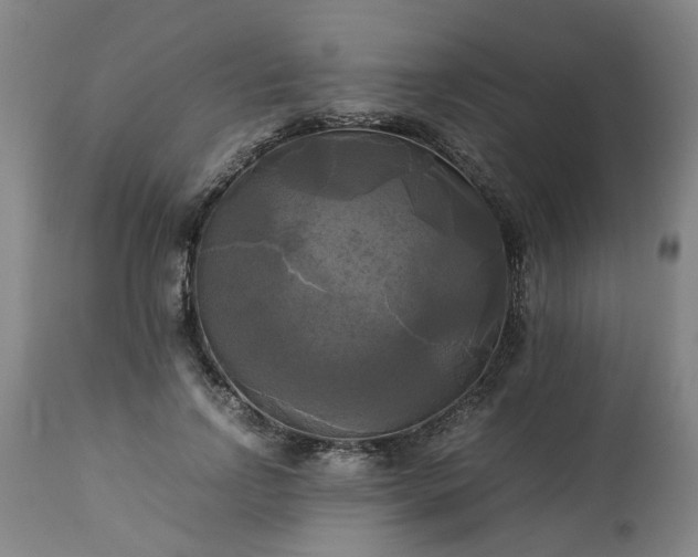 X0000113250742200909241611