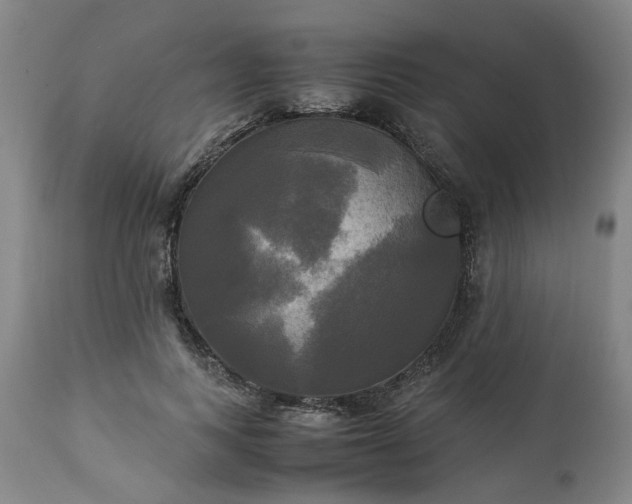 X0000113250743200909241611