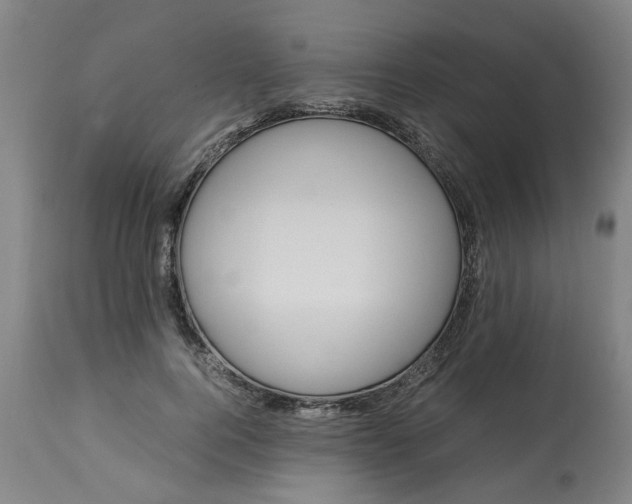 X0000113250744200909241611