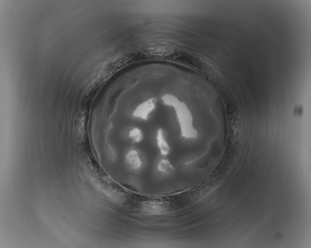 X0000113250745200909241611