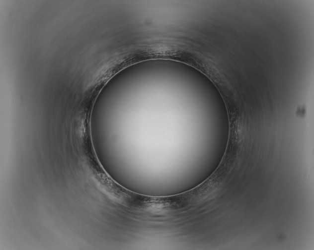 X0000113250746200909241611