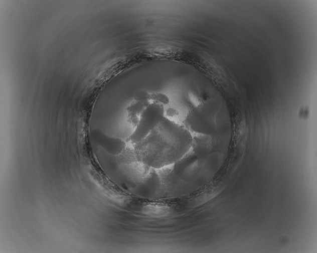 X0000113250749200909241611