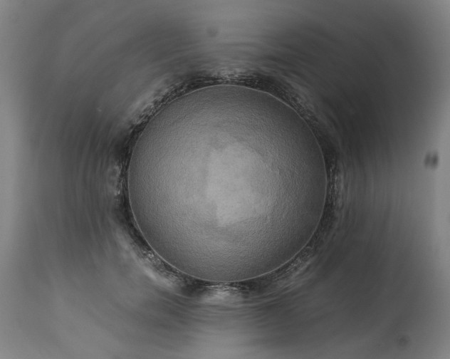 X0000113250750200909241611