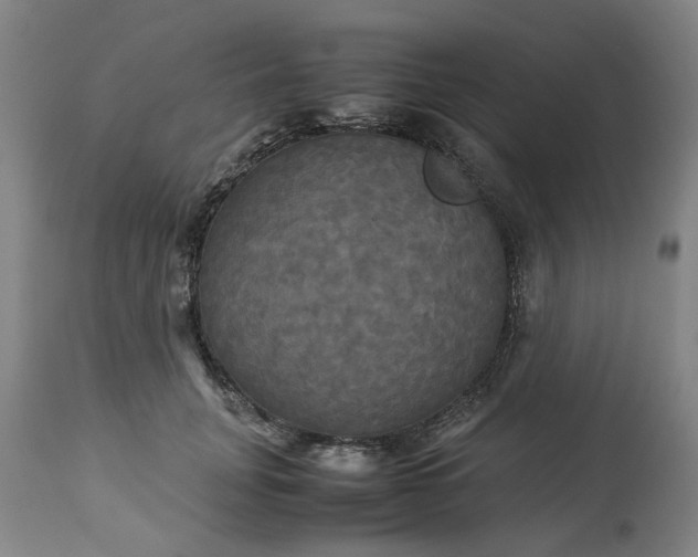 X0000113250751200909241611