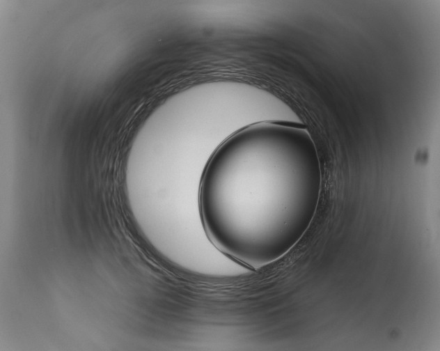 X0000113250752200909241611