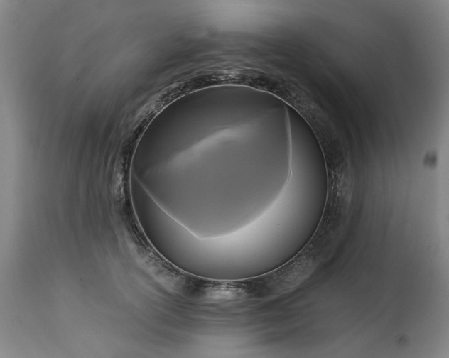 X0000113250754200909241611