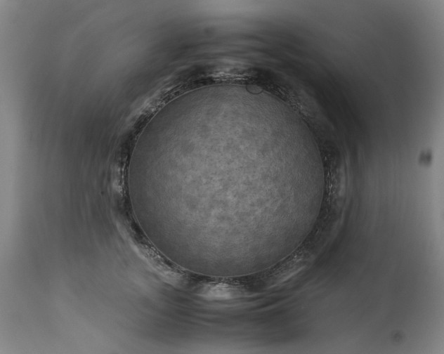 X0000113250755200909241611