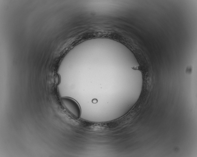 X0000113250756200909241611